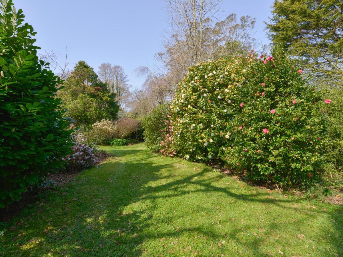Lily Cottage Looe Εξωτερικό φωτογραφία